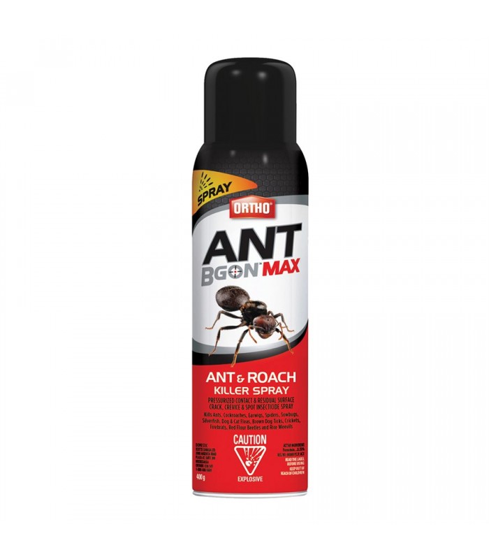 Ant B Gon Max Ant & Roach Killer Spray 400g - 88002134