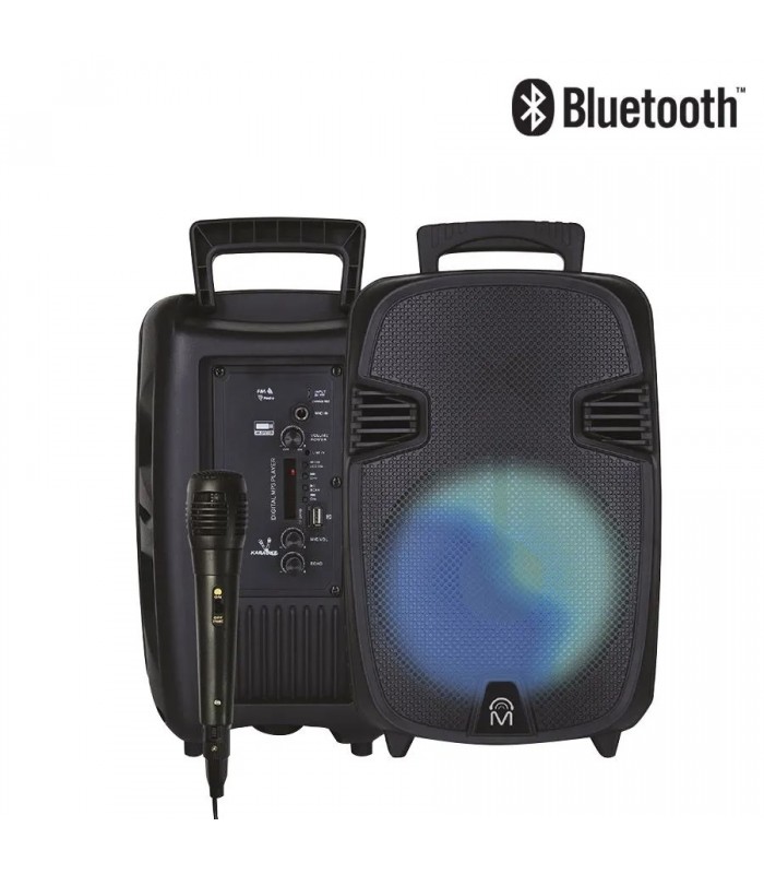 Haut-parleur sans fil Bluetooth BASS4 avec jeux de lumières RVB et microphone - 12 W