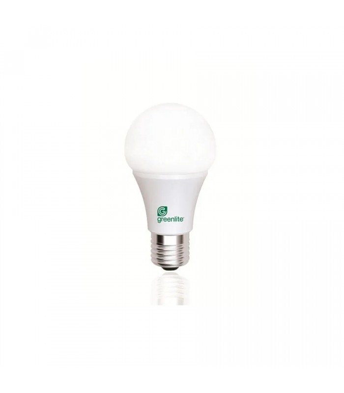 Dimmable LED Light Bulb A19 - 120V - 8W - E26 - 5000K