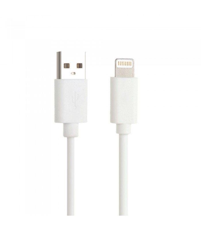 Globaltone Prise, USB A male a Lightning, câble de données mobiles et de charge, 2.4A, 3pi (1m), Blanc