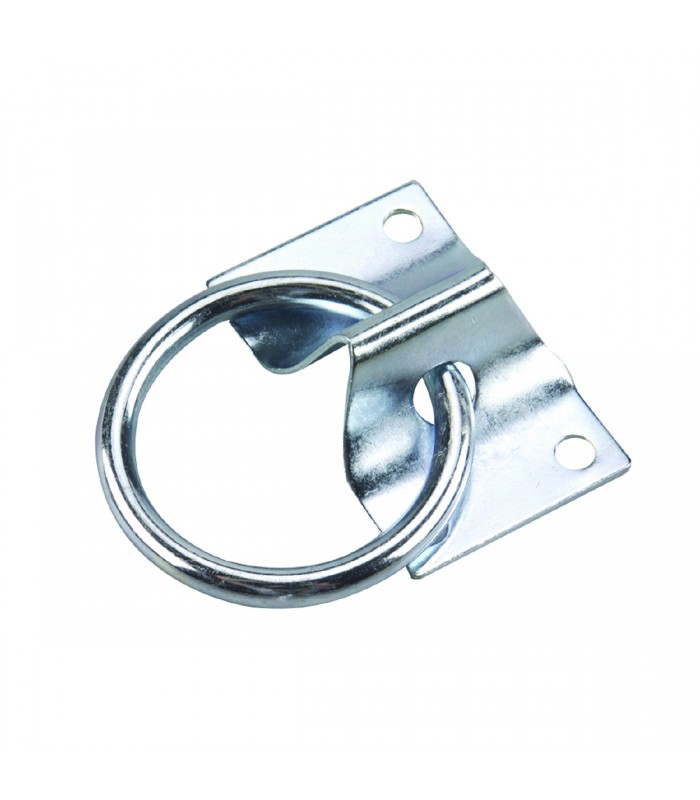 Boulon à anneau avec plaque 2 po.