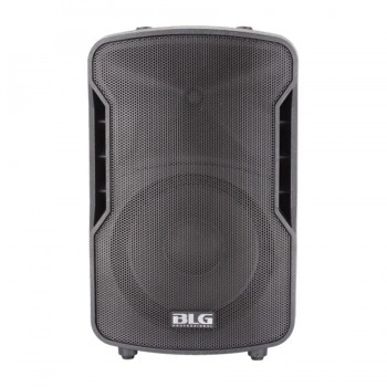 Passive Speaker 12 in. - 2-Way - 400W RMS