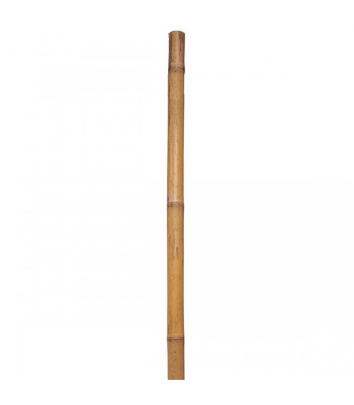 ProYard Poteau de jardin en bambou 1/2 po x 72 po