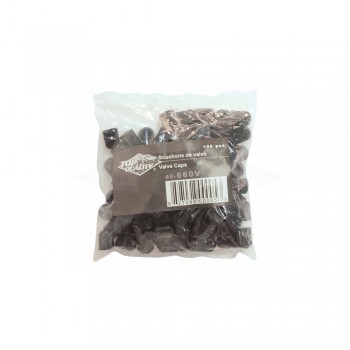 Top Quality Bouchons de valve noirs en plastique – 100 unités