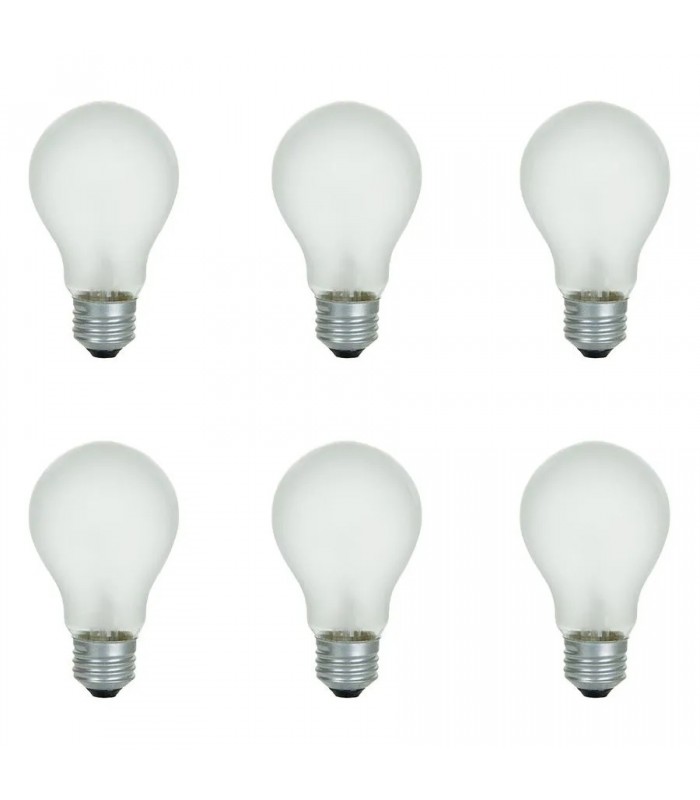 Globe Ampoule incandescente graduelle A19 - 130V - 100W - E26 - Givrée - Pqt de 6 Globe Ampoule incandescente graduelle A19 - 130V - 100W - E26 - Givrée - Pqt de 6