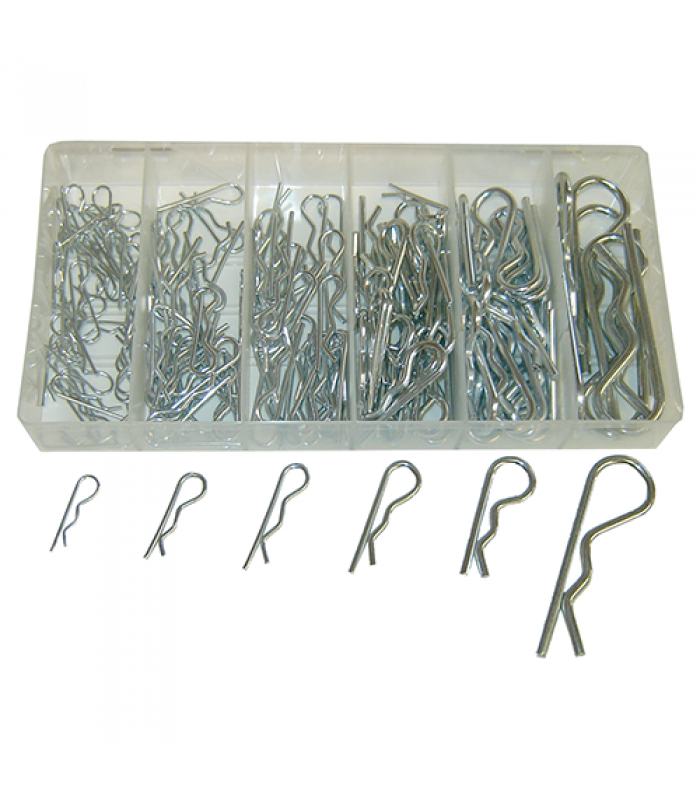 Hair pin assortment - 150 pcs