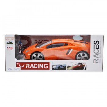 1:18 Sport Remote control car