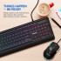 Philips Elegant USB Gaming RGB Light FX Keyboard and Mouse Combo