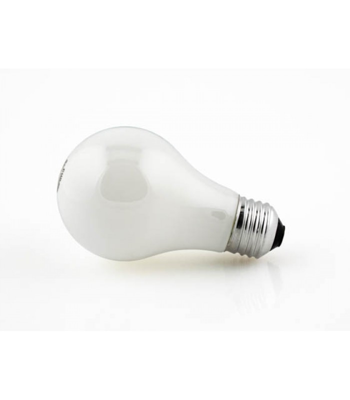 Hardware Bulb 60 Watt Soft White- Pack of 2