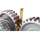 Gear Oils