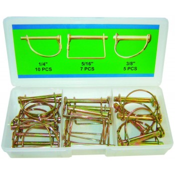 PTO Pin Assortment - 22 Pieces