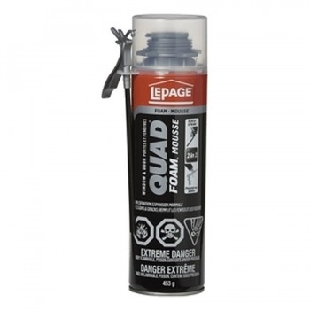 Lepage Quad 453 Foam, Window and Door Indoor.Outdoor