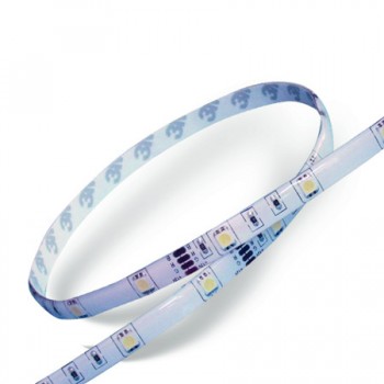 Global Tone Bande DEL Blanc Froid 5M autocollante IP65 5050 60DEL/m