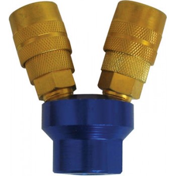 Manifold w/2 Quick Coupler