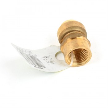 StreamWay Raccord à pousser droit sans plomb FNPT 1/2 po x 1/2 po