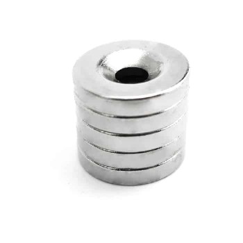 Neodymium Magnet - Ring - 12 mm x 3 mm - Pack of 5