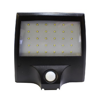 Ason Decor Solar LED Outdoor Floodlight with Motion Sensor - 1 W - 6000 K