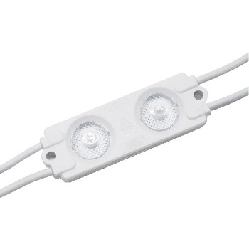Module DEL pour rétroéclairage - 2 DEL - SMD2835 - 110 V CA - 1 W - IP65 - 6000 K