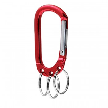 Carabiner with Keychain