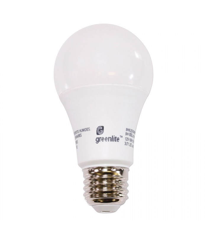 Ampoule DEL graduelle A19 - 120 V - 9 W - E26 - 4000K