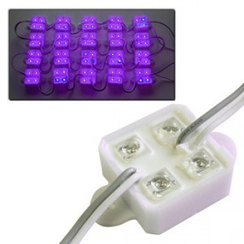 Quad DEL mauves encapsulées