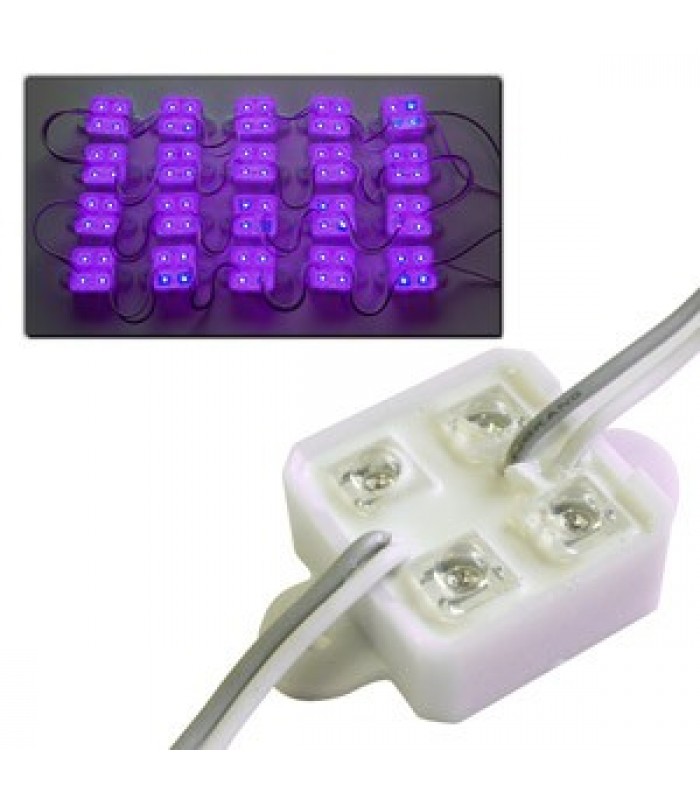 Encapsulated Quads Purple LED