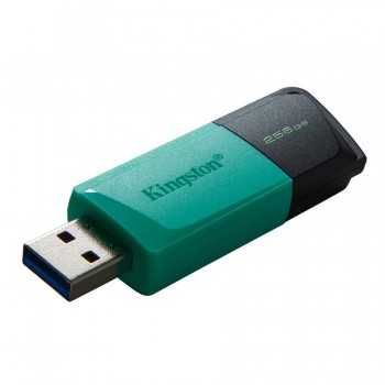 Kingston DataTraveler Exodia M USB Flash Drive 256GB