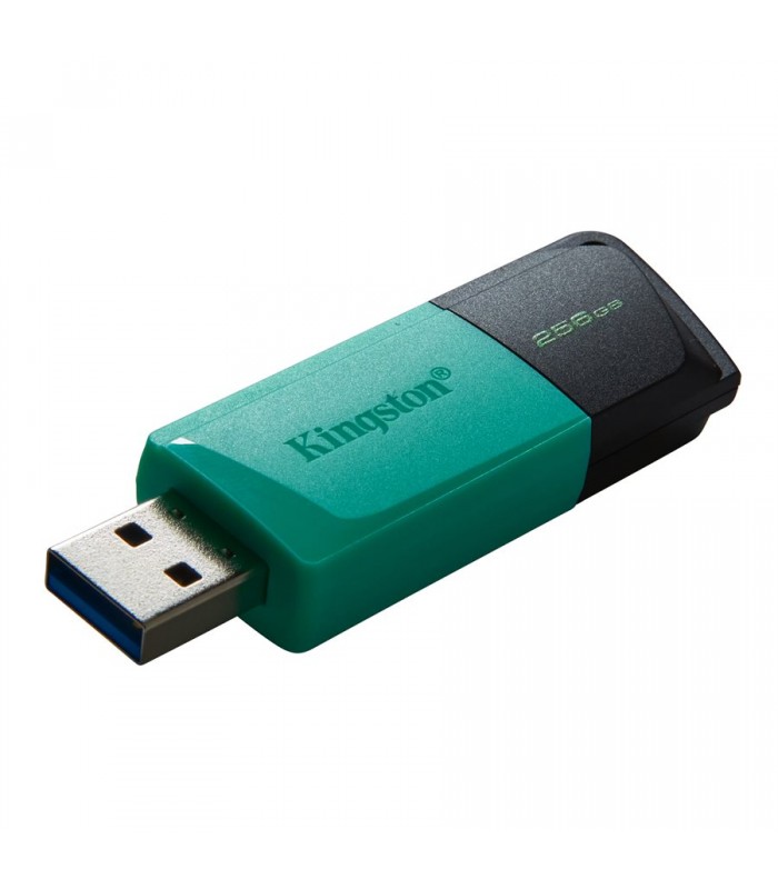 Clé USB Kingston DataTraveler Exodia M 256 Go