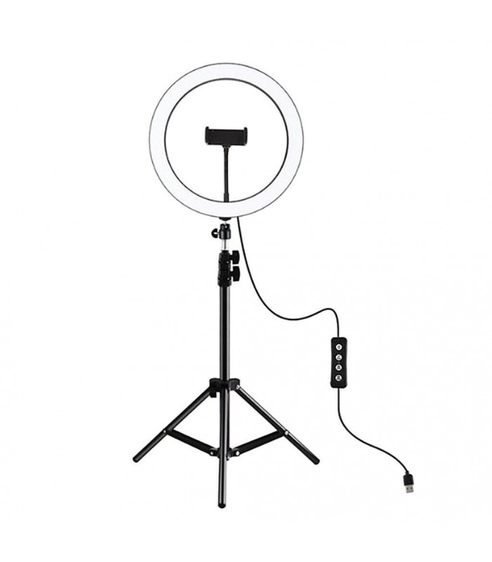 PowerDEL 10 in. LED Light 3 modes w/Tripod