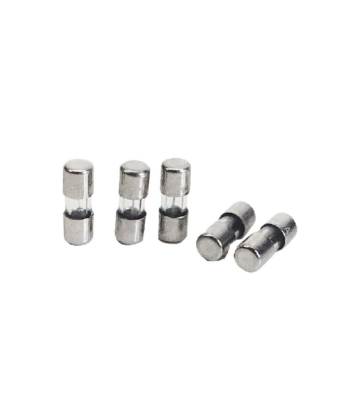 PureVolt Mini Fuse - Slow Acting - 2 A - 250 V - Pack of 5