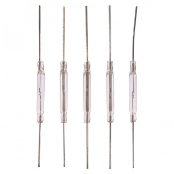 PureVolt Interrupteur à Lames Ts100 5 Pcs 2.5X20mm