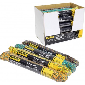 SHOPRO 1/4 in x 100 ft Diamond Braided Poly Rope
