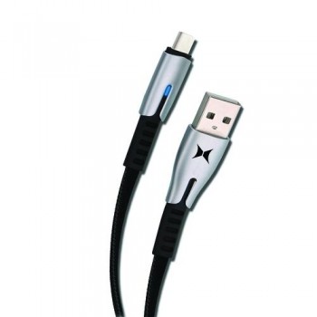 Xtreme USB Câble Type-C 10 pi. - Argent