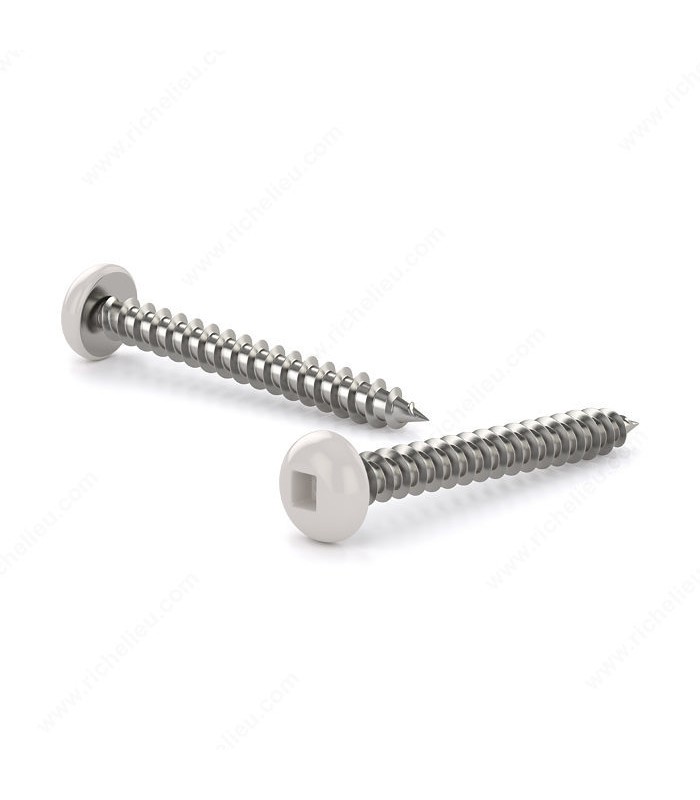 Reliable White Pan Head Metal Screw Self-Tapping Thread #8 x 2-1/2 in. - Pack of 5