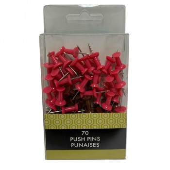 Punaises Paquet de 70