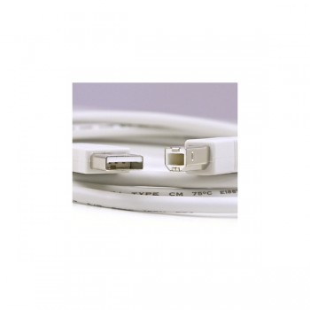 Global Tone USB 2.0 10ft 'A to B' Printer Cable