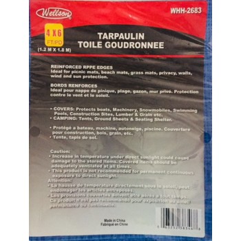 Bâche bleue 4 x 6 pi.