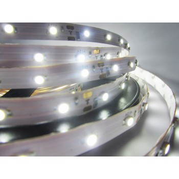 Bande DEL Blanc Froid 5M Bande autocollante